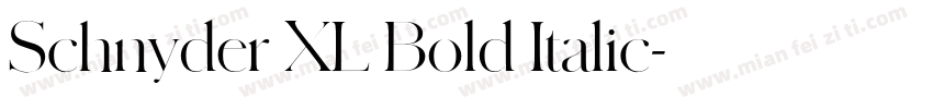 Schnyder XL Bold Italic字体转换